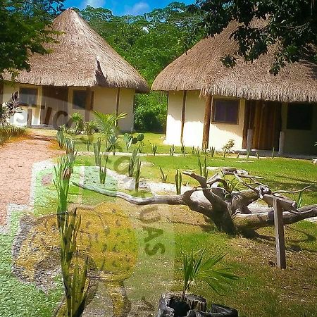 Servicios Turisticos Garra De Jaguar Conhuas Exteriör bild